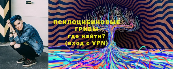 ALPHA-PVP Аркадак