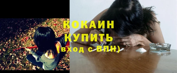дживик Армянск
