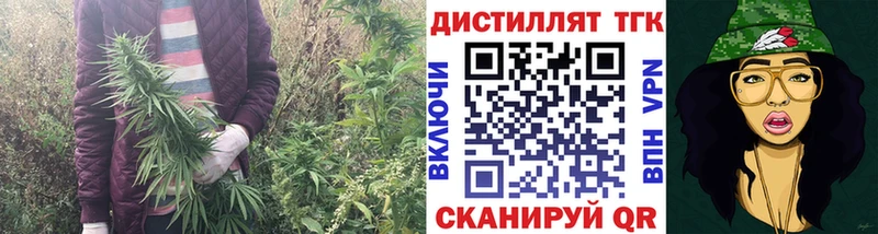 ТГК гашишное масло  Родники 