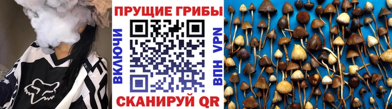 Галлюциногенные грибы Magic Shrooms блэк спрут как зайти Родники купить закладку
