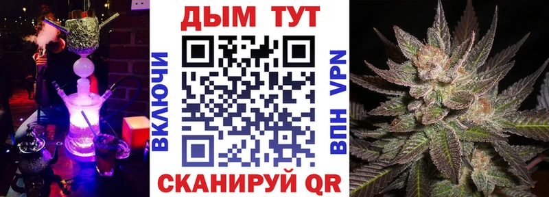 где можно купить   Родники  Шишки марихуана индика 